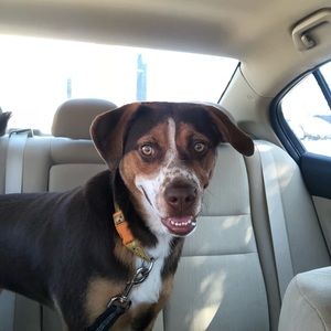 Meet your Posher, Suzanne